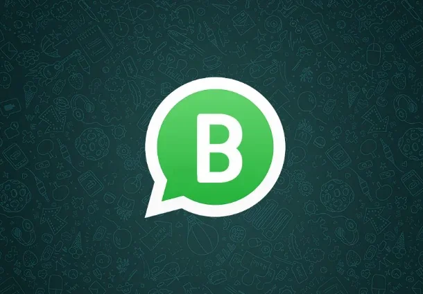 WhatsApp登录需要密码吗？